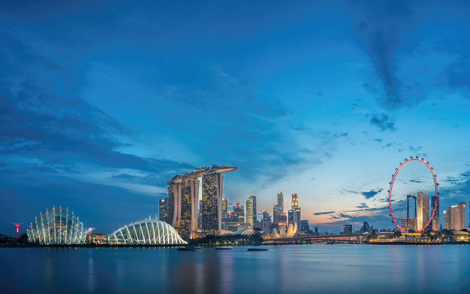 Panoramic Gardens by the Bay scene during Singapore National Day celebrations